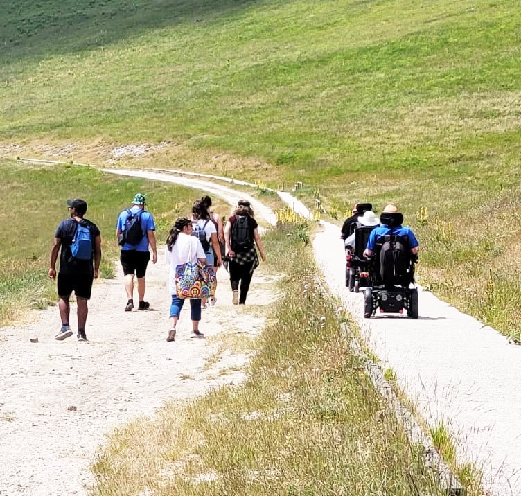 Disabilità